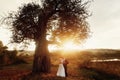 Romantic beautiful newlywed couple holding hands at sunset near tree, sun shining on handsome groom hugging beautiful bride Royalty Free Stock Photo