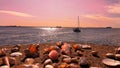 Romantic beautiful sunset at sea boat beautiful Baltic Sea seashell on the rock sea sky in harbor seashell flowers