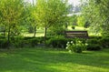 Romantic bench in peaceful park