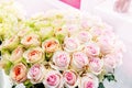 Romantic bouquet of peony pink and green roses. Selective focus, close-up Royalty Free Stock Photo