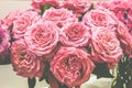 Romantic bouquet of peony pink roses. Selective focus, close-up Royalty Free Stock Photo