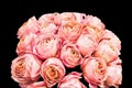 Romantic bouquet of peony pink roses. Selective focus, close-up. Isolated on black Royalty Free Stock Photo