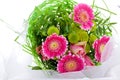 Romantic bouquet of pink flowers Royalty Free Stock Photo