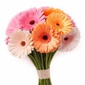 Romantic Bouquet Of Pink And Orange Gerbera Daisies On White Background