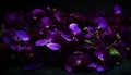 Romantic bouquet of purple orchids, a gift of nature beauty generated by AI