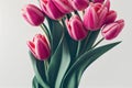 Romantic bouquets of pink tulip flower for wedding or birthday.