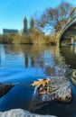 Bow Bridge in Central Park, New York in fall with Manhattan buildings in background and fallen leaves in the foreground Royalty Free Stock Photo