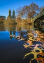 Bow Bridge in Central Park, New York in fall with Manhattan buildings in background and fallen leaves in the foreground Royalty Free Stock Photo