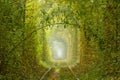 Romantic Branch in the Ukrainian Tunnel of Love in Klevan Royalty Free Stock Photo