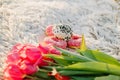 Romantic breakfast on the sandy beach. Photo session on a blanket with tulips and a book, donuts and champagne . Royalty Free Stock Photo