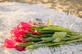 Romantic breakfast on the sandy beach. Photo session on a blanket with tulips and a book, donuts and champagne . Royalty Free Stock Photo