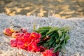 Romantic breakfast on the sandy beach. Photo session on a blanket with tulips and a book, donuts and champagne/ Royalty Free Stock Photo