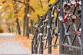 Romantic bridge with locks of people in love in autumn park Royalty Free Stock Photo