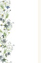 Romantic camomile daisy meadow cornflower thistle eryngium seamless vertical border, invitation, greeting card template
