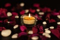 Romantic candle and rose petals background Royalty Free Stock Photo