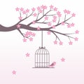 Romantic cherry blossom with bird cage vector isolated on white