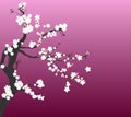 Romantic cherry tree