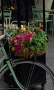 Romantic cityscape, bicycle, flowers and fire