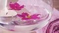 Romantic composition with a candle and violet flowers floating in a bowl of water. Royalty Free Stock Photo