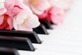 Romantic concept with piano and flowers