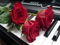 Romantic concept - red rose on piano keys