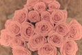 Red roses in vintage toned filter for romantic background Royalty Free Stock Photo