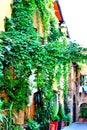 Romantic corner in a street of Trestevere Royalty Free Stock Photo