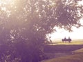 Romantic couple on a bench under a tree Royalty Free Stock Photo