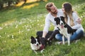 Romantic couple in love walking dogs in nature and smiling Royalty Free Stock Photo