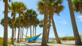 Romantic couple relaxing in tropical hammock Royalty Free Stock Photo