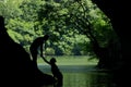 Romantic couple silhouette hand in hand