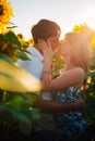 Romantic couple standing and kissing on background summer field sunflower sunset Royalty Free Stock Photo