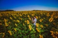 Romantic couple standing and kissing on background summer field sunflower sunset Royalty Free Stock Photo