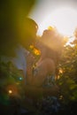 Romantic couple standing and kissing on background summer field sunflower sunset Royalty Free Stock Photo