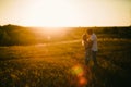 Romantic couple standing and kissing on background summer field sunflower sunset Royalty Free Stock Photo