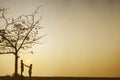 Romantic couple standing under a tree at sunset Royalty Free Stock Photo