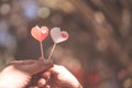 Happy joyful couple give heart candle to each other in the afternoon, Love concept