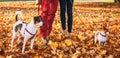 Romantic couple walking outdoors in autumn park with dogs Royalty Free Stock Photo