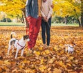 Romantic couple walking outdoors in autumn park with dogs Royalty Free Stock Photo