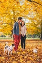 Romantic couple walking outdoors in autumn park with dogs Royalty Free Stock Photo