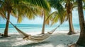 Romantic cozy hammock in the shadow of the palm on the tropical beach by the sea Royalty Free Stock Photo