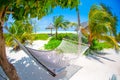 Romantic cozy hammock under coconut palm tree at tropical paradise in bright sunny summer day Royalty Free Stock Photo