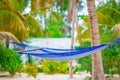 Romantic cozy hammock under coconut palm tree at tropical paradise in bright sunny summer day Royalty Free Stock Photo