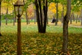 Romantic date. Romantic vacation. Golden autumn park with couple sitting on bench.