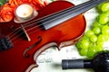 Romantic decoration of violin and wine Royalty Free Stock Photo