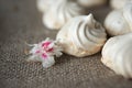 Homemade meringue cookies  on rustic background Royalty Free Stock Photo