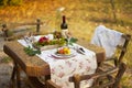 Romantic dinner in the autumn garden, table setting for a nice dinner. Wine, fruit, pomegranate and flowers. Picnic in the open