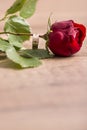 Romantic engagement ring on a stem of single fresh red rose sym