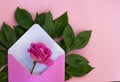 Romantic envelope.Rose flower.Love gift. Pink background Royalty Free Stock Photo