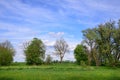 Romantic flat landscape in a wetland in Germany, with green lush meadows, a high stand for hunters and trees, against a Royalty Free Stock Photo